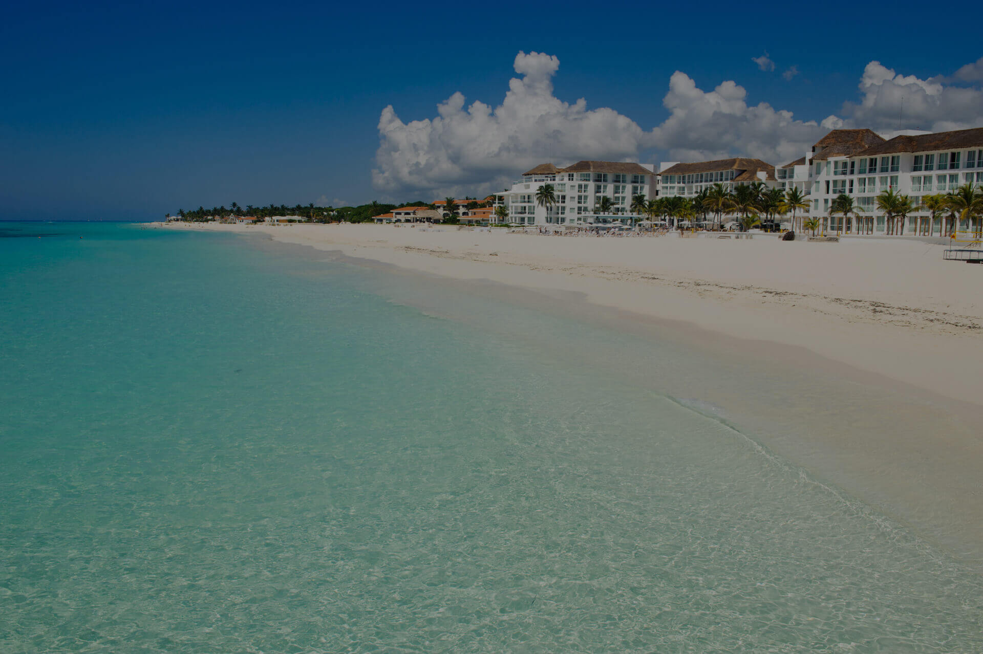 Inmuebles en renta en Playa del Carmen